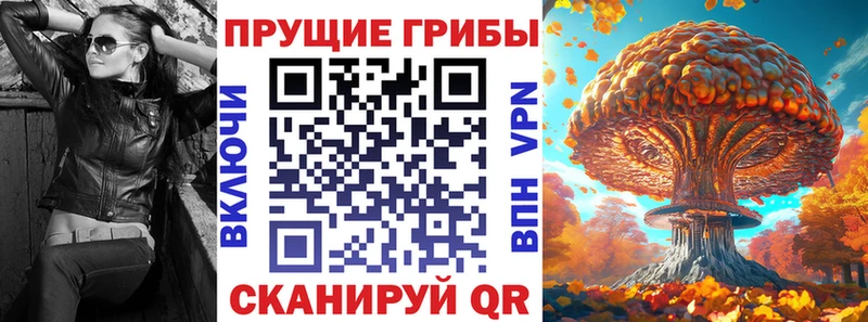 где купить наркоту  Дигора  Псилоцибиновые грибы мухоморы 